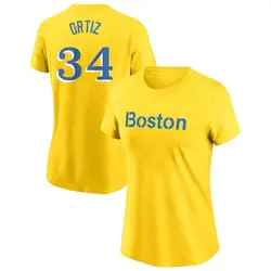 Men's Fanatics Branded David Ortiz Navy Boston Red Sox Stats Resume Long Sleeve T-Shirt